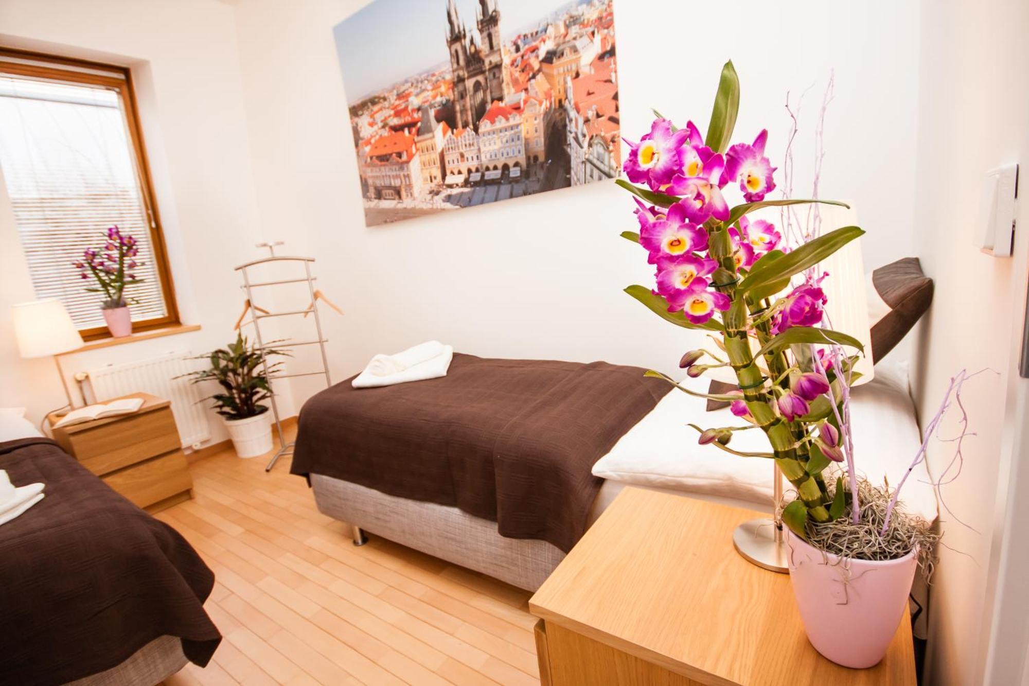 Wenceslas Square Lofts Apartment Prague Room photo